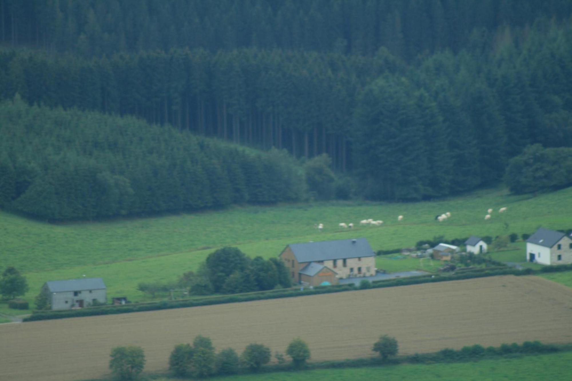 Chambres D'Hotes Les Trappeurs Silence & Nature Tenneville Esterno foto